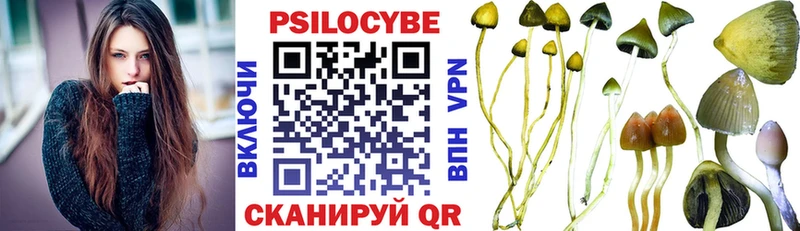 где найти   Нерюнгри  Галлюциногенные грибы Magic Shrooms 